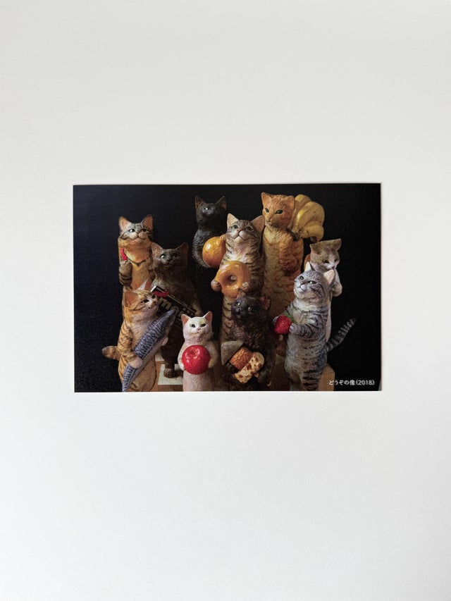 花房さくら | petel gallery